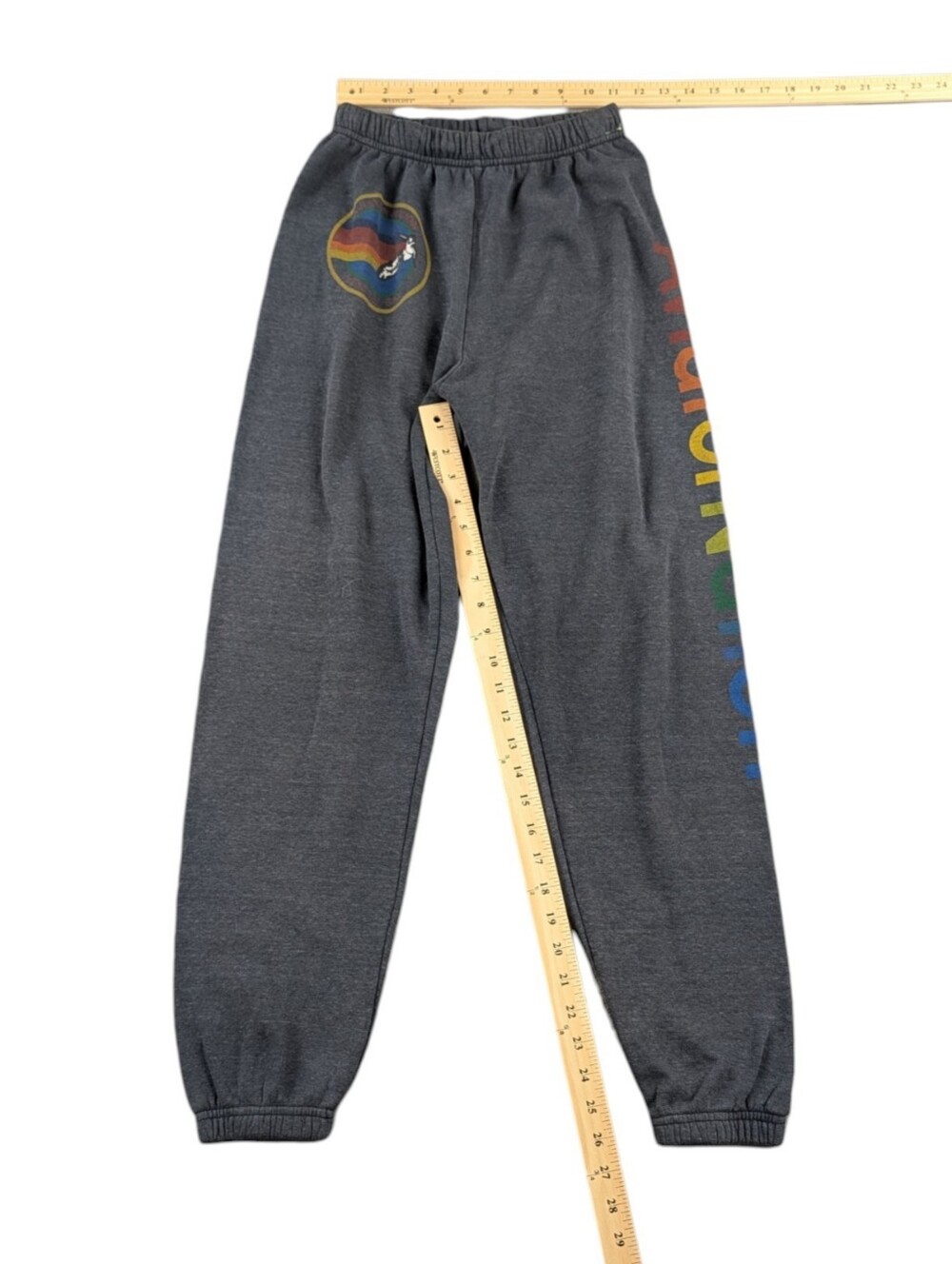 Aviator Nation Related Venice Hoodie Joggers Set Charcoal XS Top S Pants - Picture 11 of 12